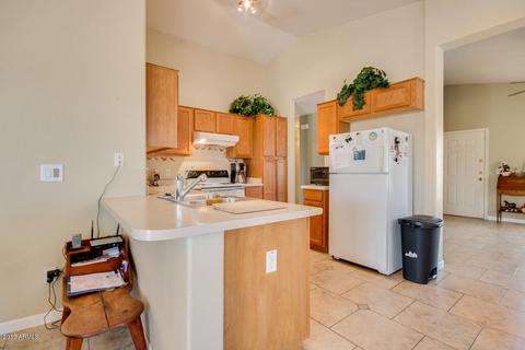 919 E Santa Cruz Ln, Apache Junction, AZ 85119 photo 8