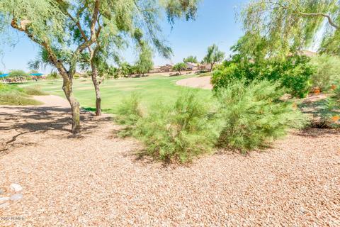 919 E Santa Cruz Ln, Apache Junction, AZ 85119 photo 22
