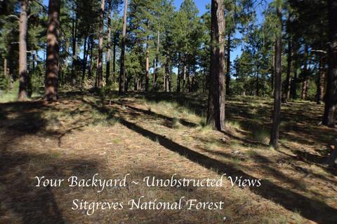 3180 Larson Loop, Forest Lakes, AZ 85931 photo 3
