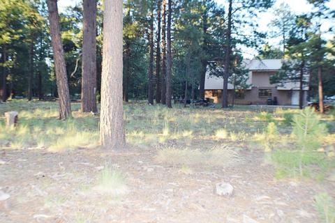 3180 Larson Loop, Forest Lakes, AZ 85931 photo 36
