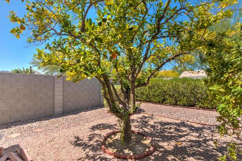 4246 E Mandan St, Phoenix, AZ 85044 photo 30
