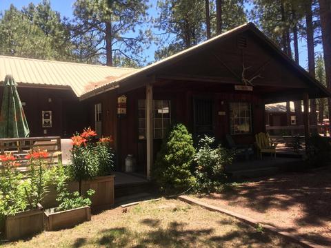 2492 Middle Loop, Forest Lakes, AZ 85931 photo 10