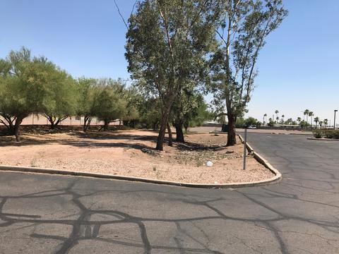 2831 W Apache Trl #-, Apache Junction, AZ 85120 photo 2