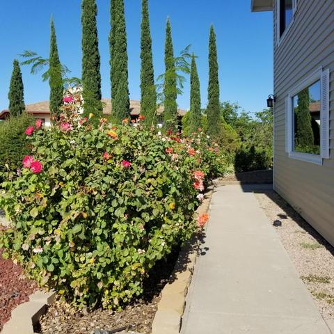 545 E Courtney Ln, Globe, AZ 85501 photo 34