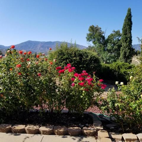 545 E Courtney Ln, Globe, AZ 85501 photo 35
