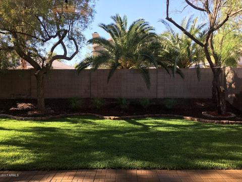4464 E Badger Way, Phoenix, AZ 85044 photo 11