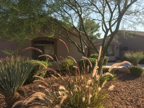 3903 W Range Mule Dr, Phoenix, AZ 85083 photo 1