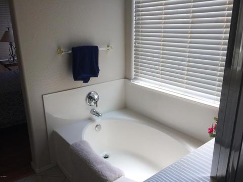 3903 W Range Mule Dr, Phoenix, AZ 85083 photo 10