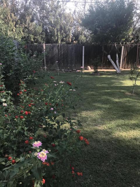 3021 E Oak St, Phoenix, AZ 85008 photo 7