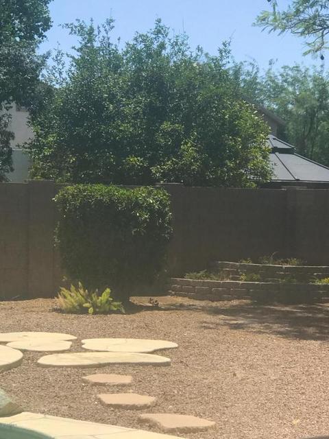 10617 E Obispo Ave, Mesa, AZ 85212 photo 47