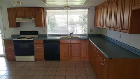 3317 E Forge Ave, Mesa, AZ 85204 photo 5