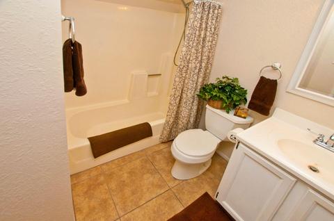 212 E Strahan Dr, Tempe, AZ 85283 photo 52