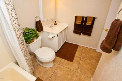 212 E Strahan Dr, Tempe, AZ 85283 photo 53
