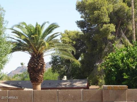 2909 E Cactus Rd, Phoenix, AZ 85032 photo 3
