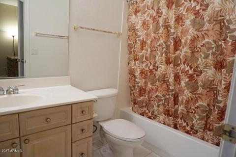 4338 E Fairbrook Cir, Mesa, AZ 85205 photo 33