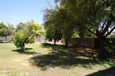 4338 E Fairbrook Cir, Mesa, AZ 85205 photo 36