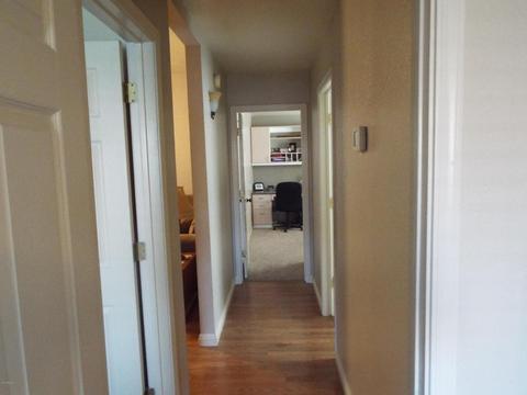 843 Encinas Ave, Gilbert, AZ 85234 photo 18
