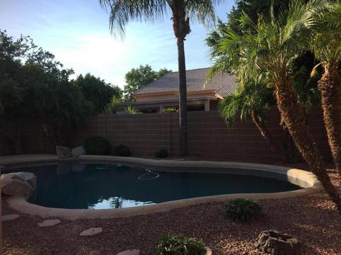 530 E Orchid Ln, Gilbert, AZ 85296 photo 5