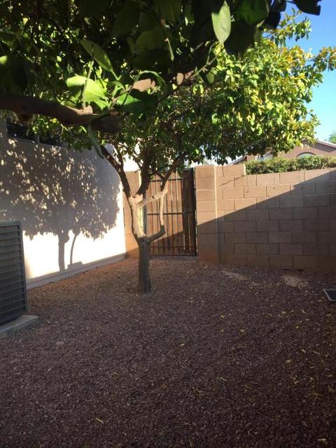 530 E Orchid Ln, Gilbert, AZ 85296 photo 33