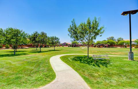 9915 El Moro Ave, Mesa, AZ 85208 photo 26