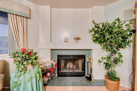 16664 S 38th Pl, Phoenix, AZ 85048 photo 21