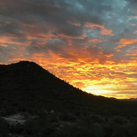42225 N Olympic Fields Ct, Phoenix, AZ 85086 photo 87