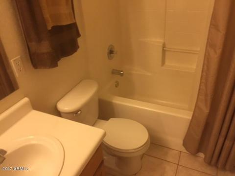 11035 E Diamond Ave, Mesa, AZ 85208 photo 27