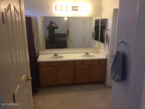 11035 E Diamond Ave, Mesa, AZ 85208 photo 21