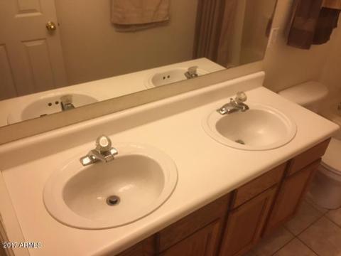 11035 E Diamond Ave, Mesa, AZ 85208 photo 25