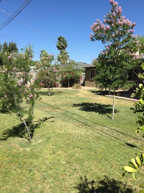 1031 E Cavalier Dr, Phoenix, AZ 85014 photo 24