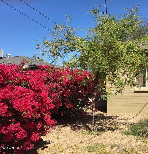 1031 E Cavalier Dr, Phoenix, AZ 85014 photo 23
