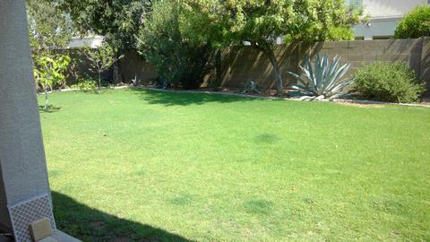 3336 E Harvard Ave, Gilbert, AZ 85234 photo 2
