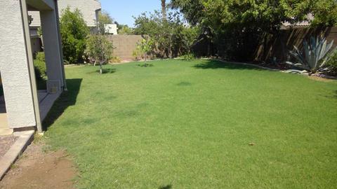 3336 E Harvard Ave, Gilbert, AZ 85234 photo 3