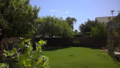 3336 E Harvard Ave, Gilbert, AZ 85234 photo 6