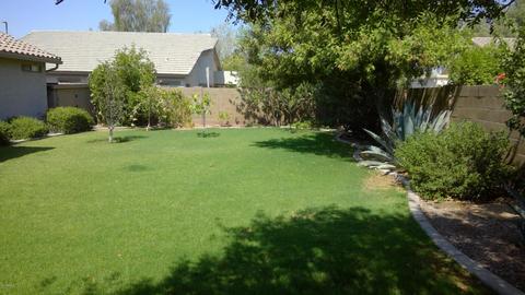 3336 E Harvard Ave, Gilbert, AZ 85234 photo 4