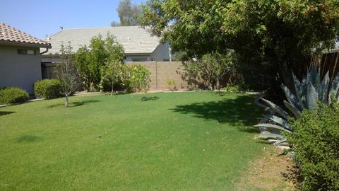 3336 E Harvard Ave, Gilbert, AZ 85234 photo 5
