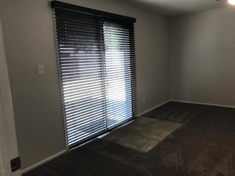 3249 E Windrose Dr, Phoenix, AZ 85032 photo 8