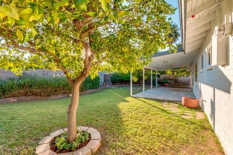 7120 N 17th Dr, Phoenix, AZ 85021 photo 36