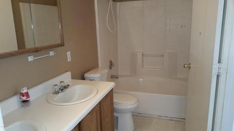 2262 W 17th Ave, Apache Junction, AZ 85120 photo 8