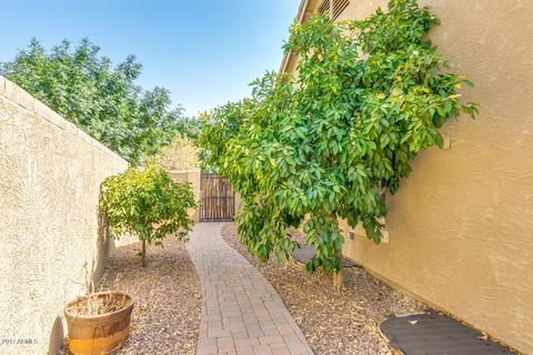 4186 E Los Altos Rd, Gilbert, AZ 85297 photo 46
