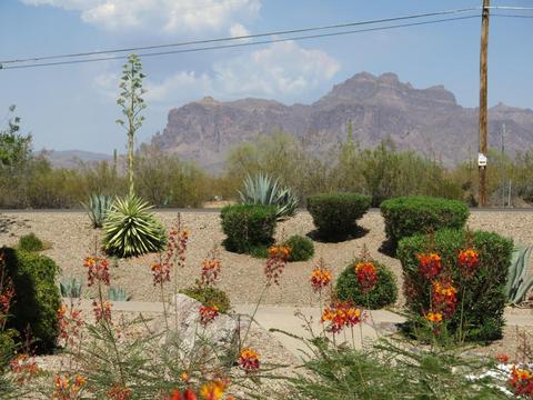 1440 N Idaho Rd #1083, Apache Junction, AZ 85119 photo 21