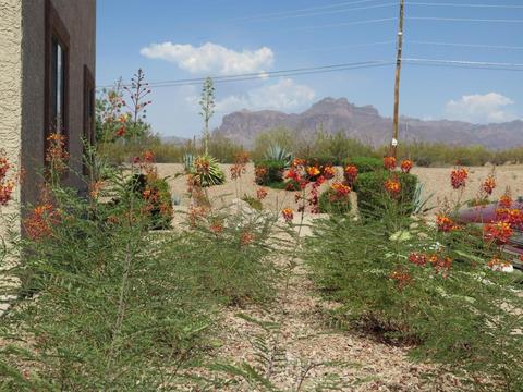 1440 N Idaho Rd #1083, Apache Junction, AZ 85119 photo 3