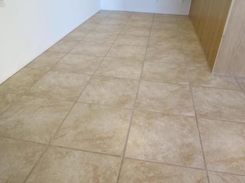 1440 N Idaho Rd #1083, Apache Junction, AZ 85119 photo 18