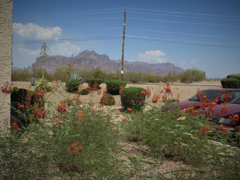 1440 N Idaho Rd #1083, Apache Junction, AZ 85119 photo 20