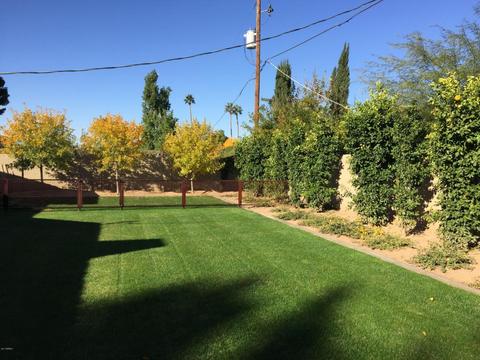 210 E Winter Dr, Phoenix, AZ 85020 photo 5