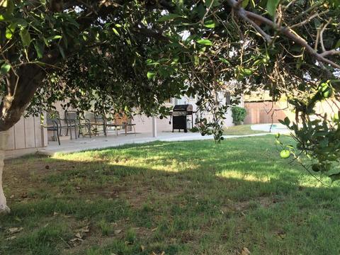 1455 E Downing St, Mesa, AZ 85203 photo 10