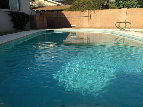 1455 E Downing St, Mesa, AZ 85203 photo 11