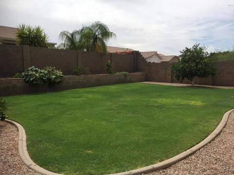 2341 N Malachite --, Mesa, AZ 85207 photo 22