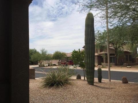 2341 N Malachite --, Mesa, AZ 85207 photo 3