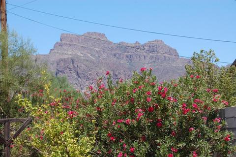 5763 El Camino Quinto --, Apache Junction, AZ 85119 photo 25